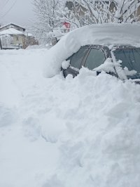 IMG_20241226_120758.jpg