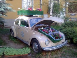 Bild12933.jpg