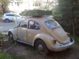 Bild12935.jpg