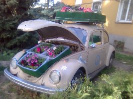 Bild12938.jpg