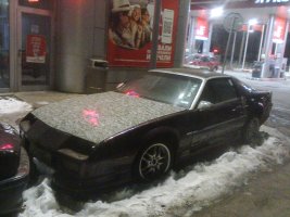 амер-Камаро-лила-3.jpg