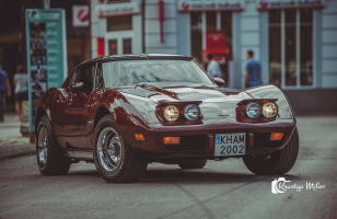 DSC_1289web.png