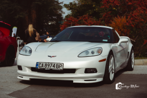 DSC_3256web.png