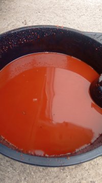 IMG_20241130_105232.jpg