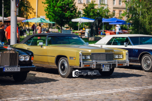 DSC_6682web.png