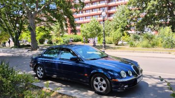 Джаг-Златни-хл Гладиола-1.jpg