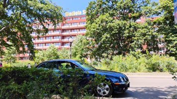 Джаг-Златни-хл Гладиола-2.jpg