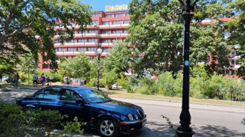 Джаг-Златни-хл Гладиола-3.jpg