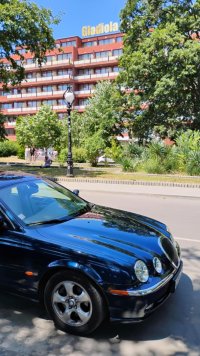 Джаг-Златни-хл Гладиола-4.jpg