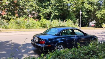 Джаг-Златни-хл Гладиола-5.jpg