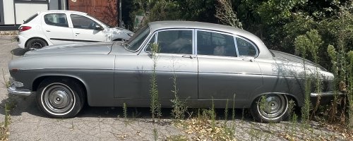 IMG_8089.jpeg