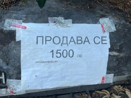 IMG_8364.jpeg