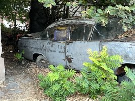 IMG_8366.jpeg