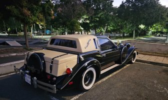 амер-Цимър Голдън Спирит, Мустанг Фокси платформа.jpg