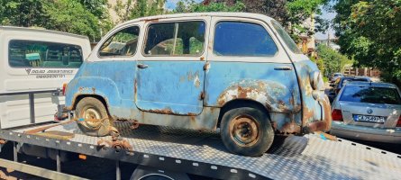 Мултипла-В Митков-Асистанс-Калин-3.jpg