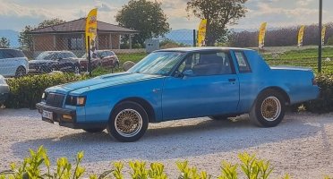 амер-1983-Буик Регал-блу.jpg