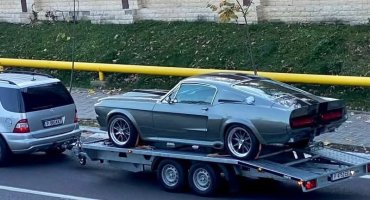 амер-Елинор копие.jpg