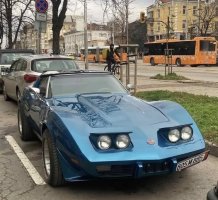 амер-Вет С3-Сф.jpg