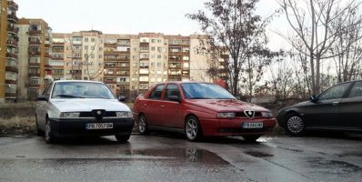 redalfa_2.jpg
