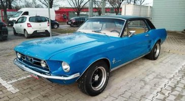 амер-Мустанг хардтоп-син.jpg