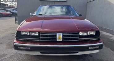 амер-Торо-в БГ.jpg