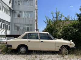IMG_1643.jpeg
