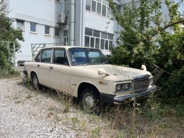 IMG_1644.jpeg