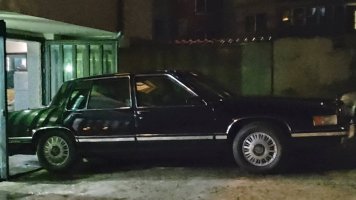 747178294_10239152135294908_1203193266257923664_n.jpg