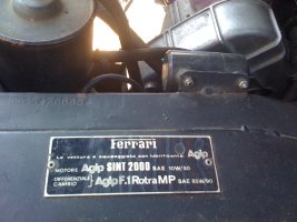 IMG_2251.jpg