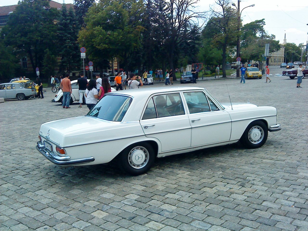 DSC00904.jpg