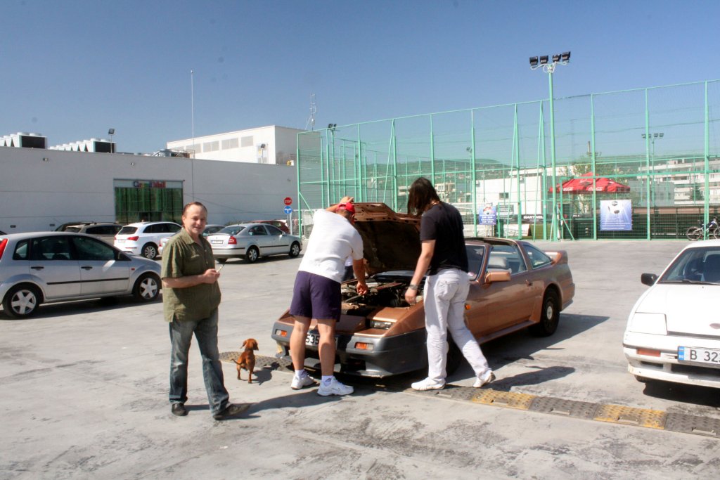 IMG0552.jpg