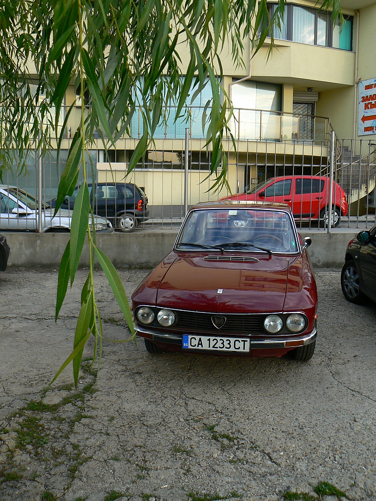 P1340965.jpg