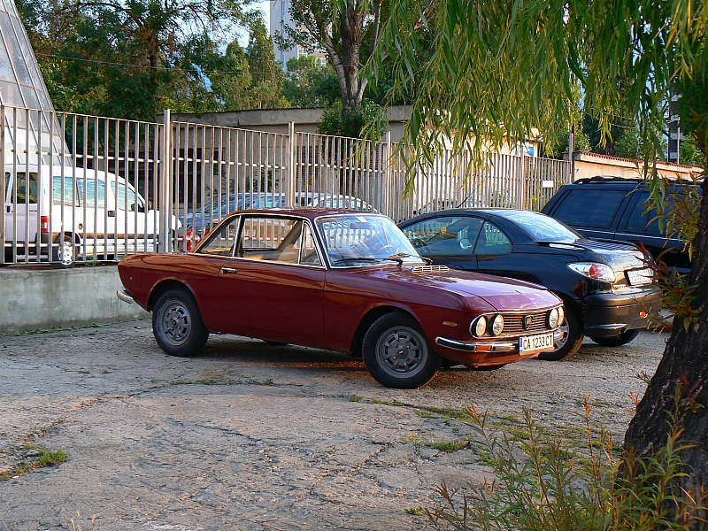 P1340993.jpg