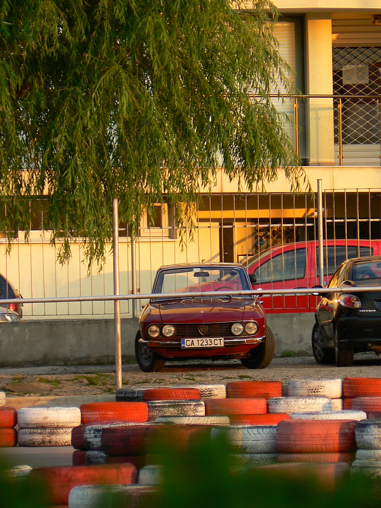 P1340996.jpg