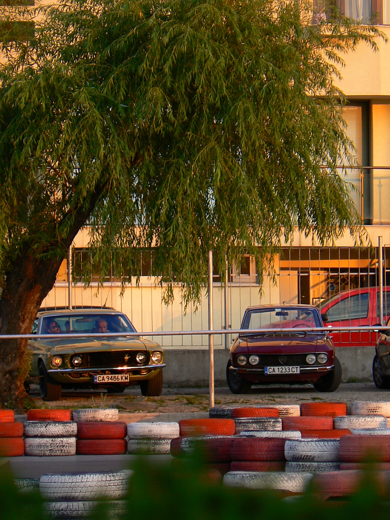 P1350003.jpg