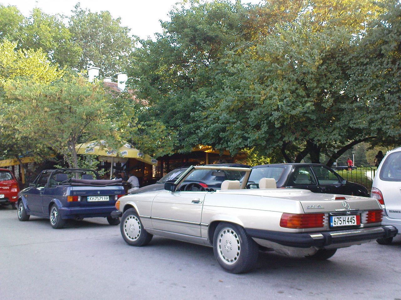 DSC05485.jpg