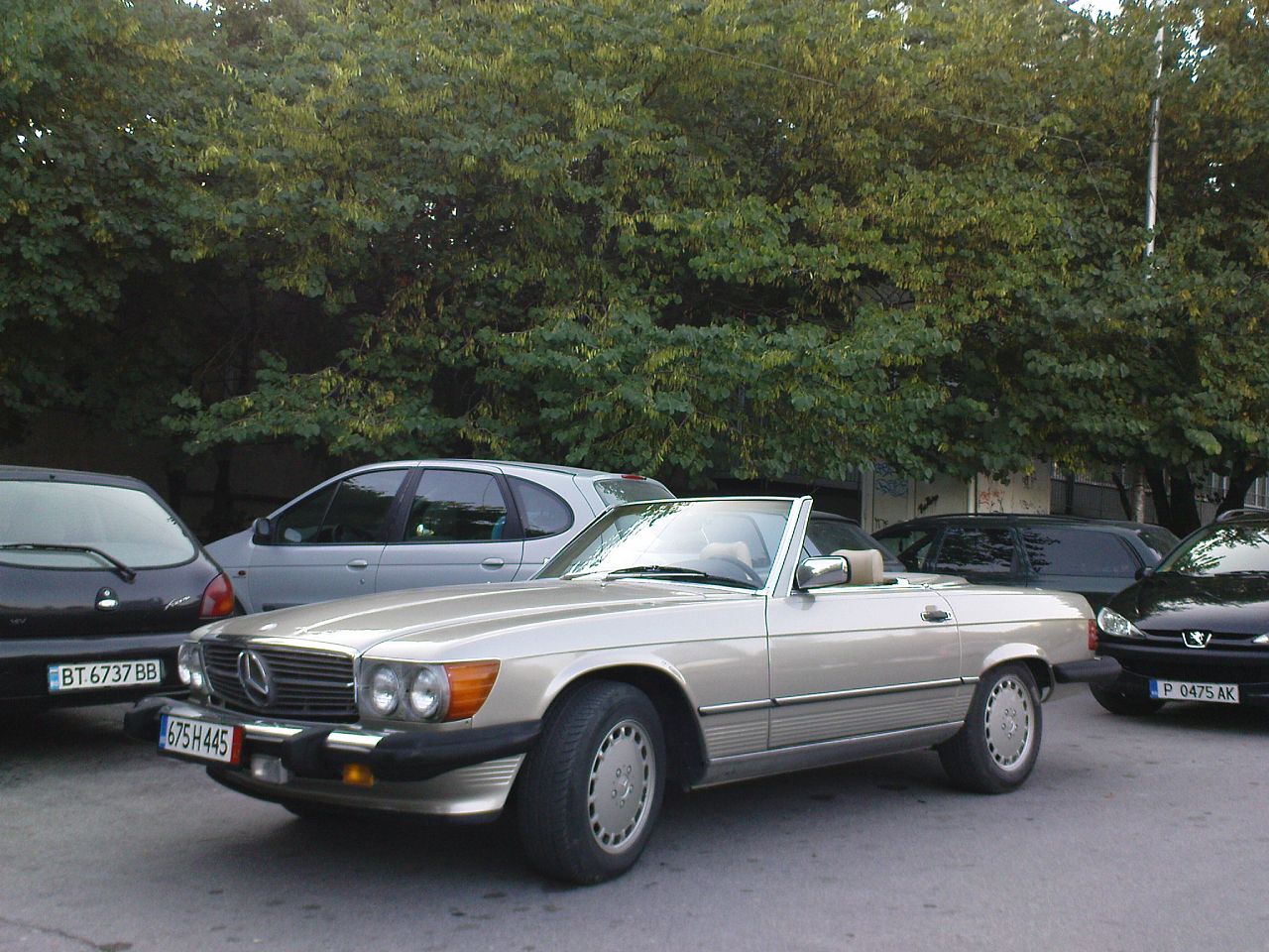 DSC05489.jpg