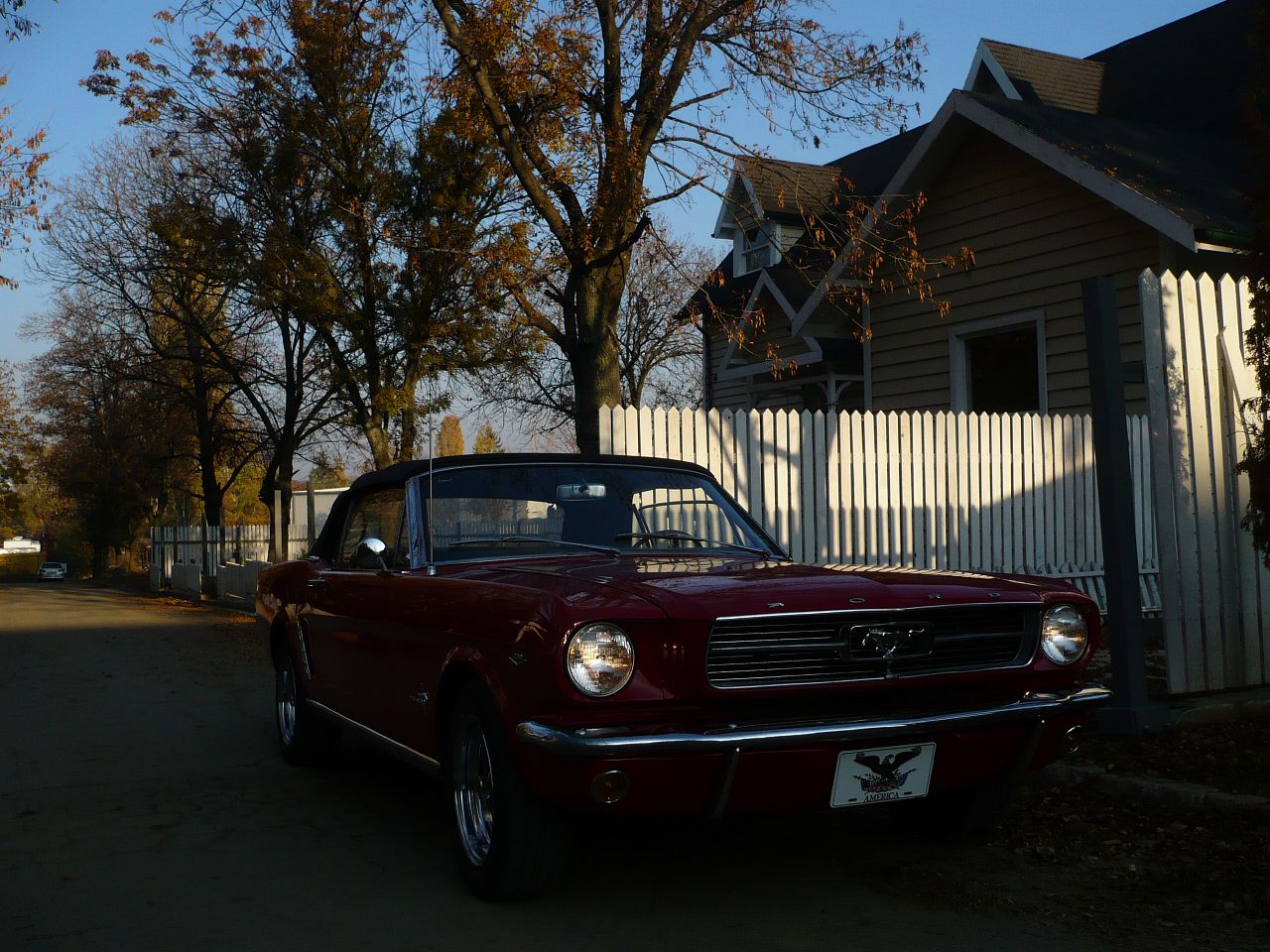 Mustang1965cabrio-7.jpg