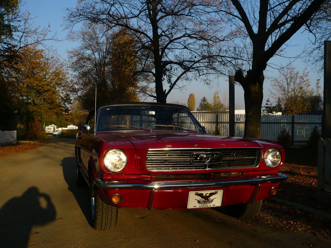 Mustang1965cabrio-8.jpg