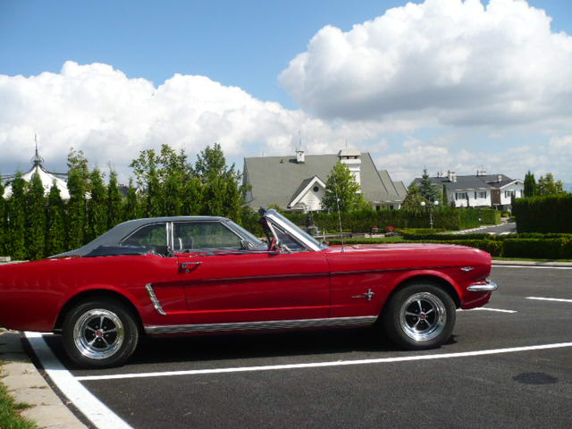 Mustang1965cabrio-9.jpg