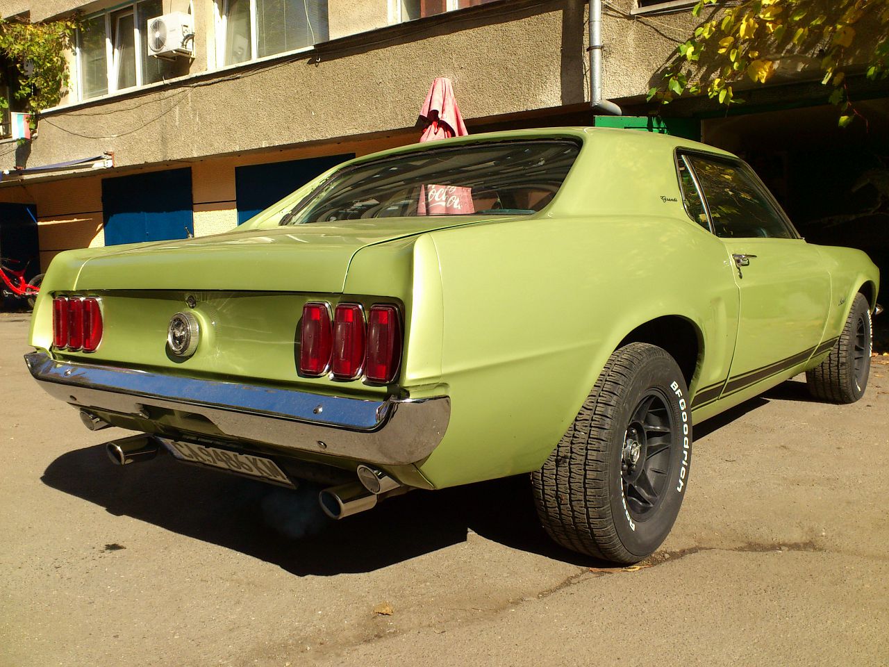 Mustang1969Grande-1.jpg