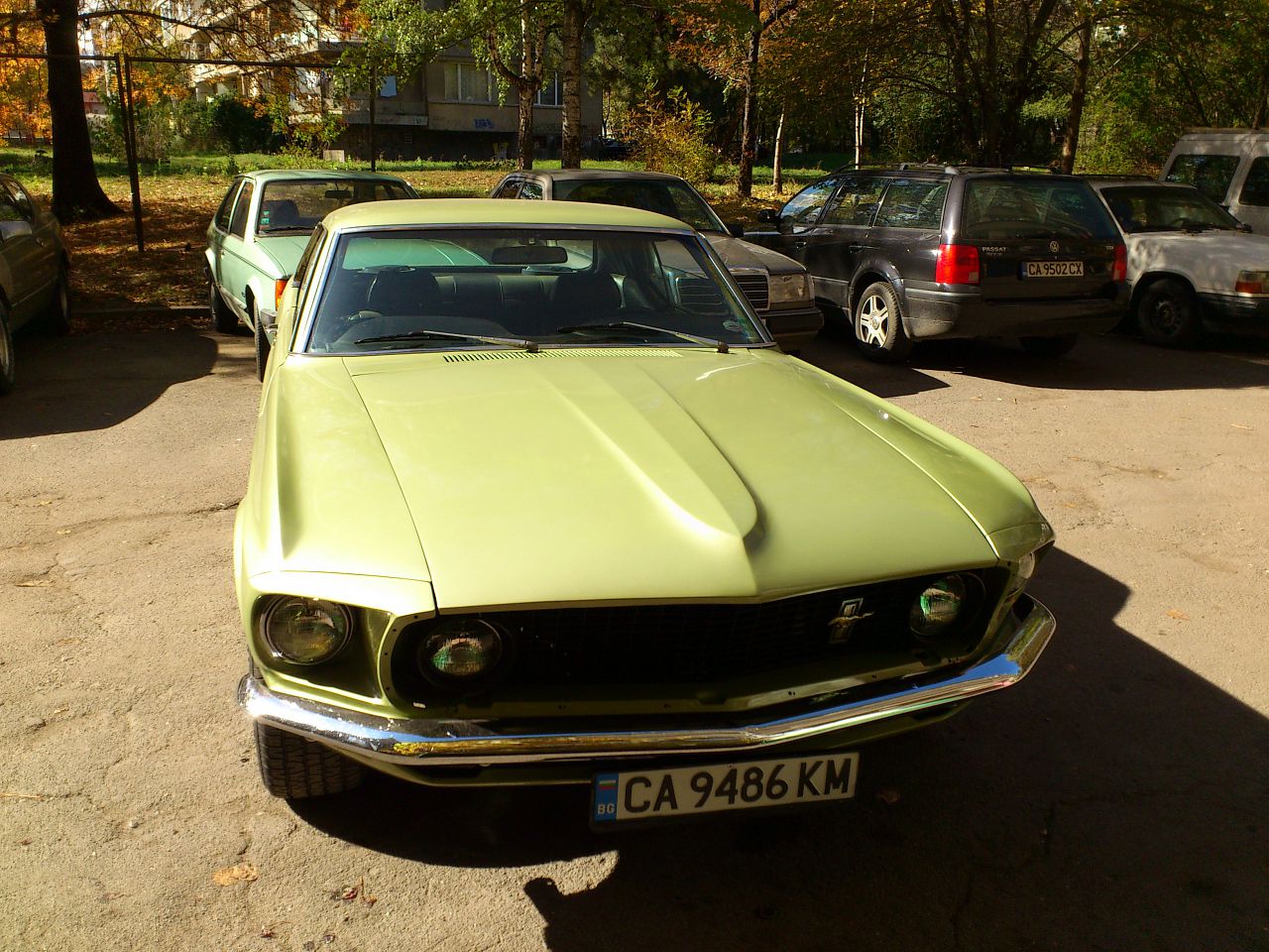 Mustang1969Grande-5.jpg