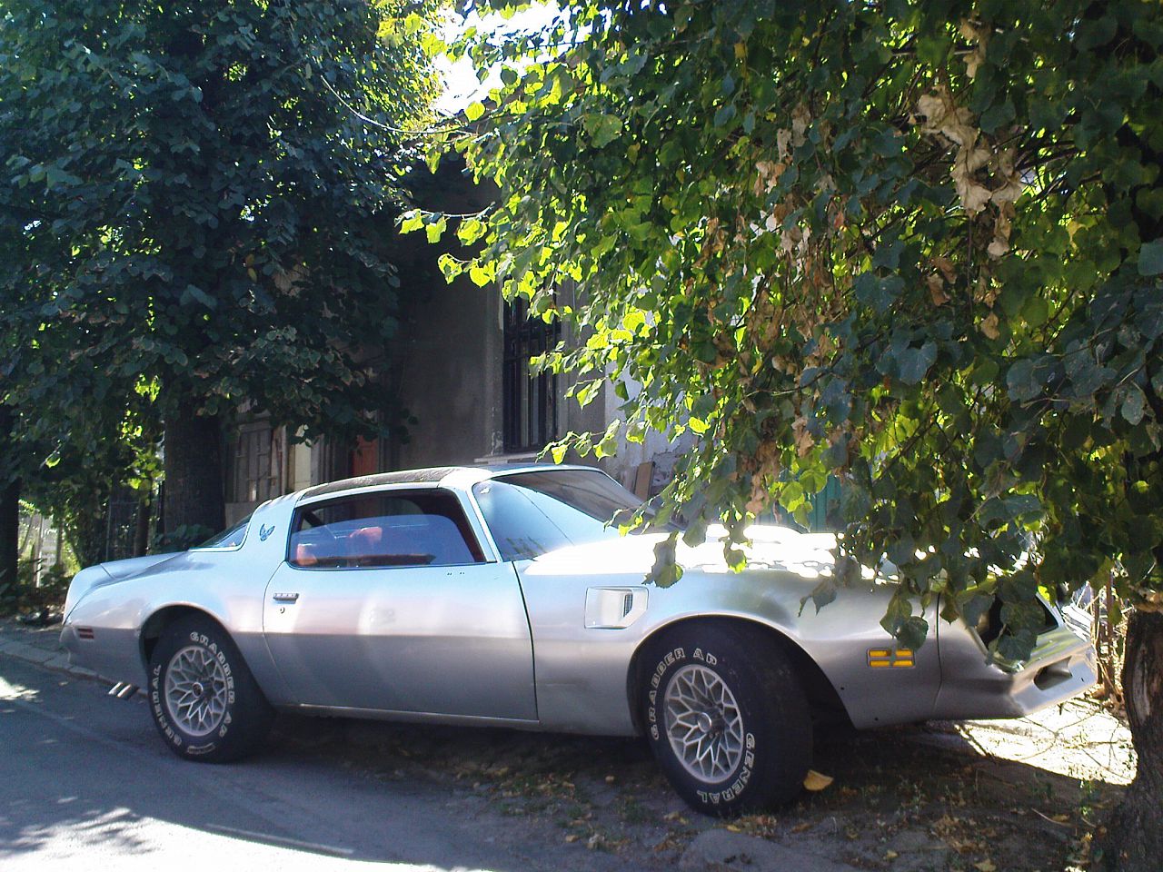 TransAm1976-fr1side.jpg
