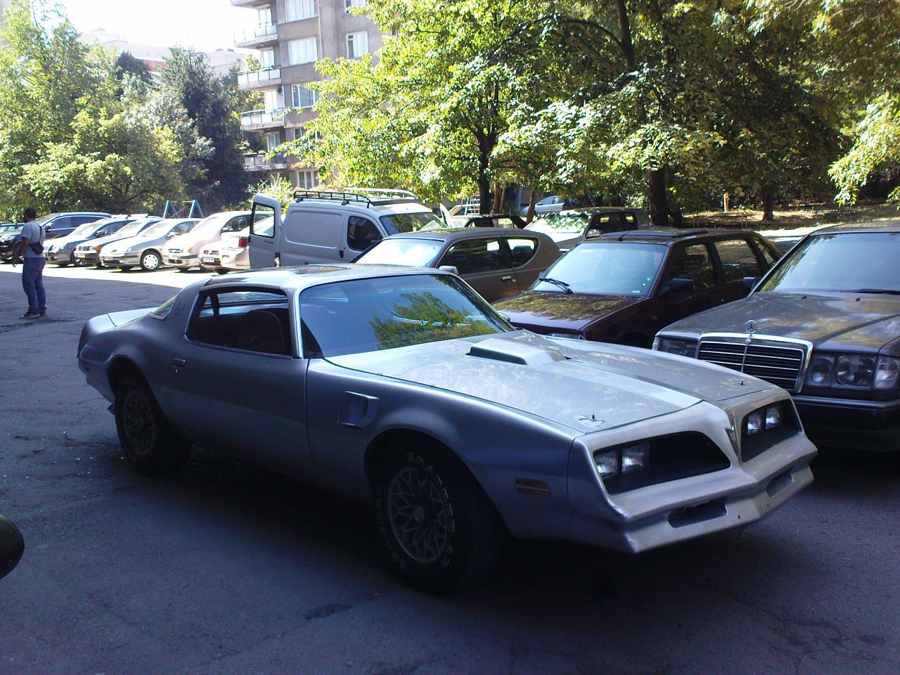 TransAm1976-frside-3.jpg