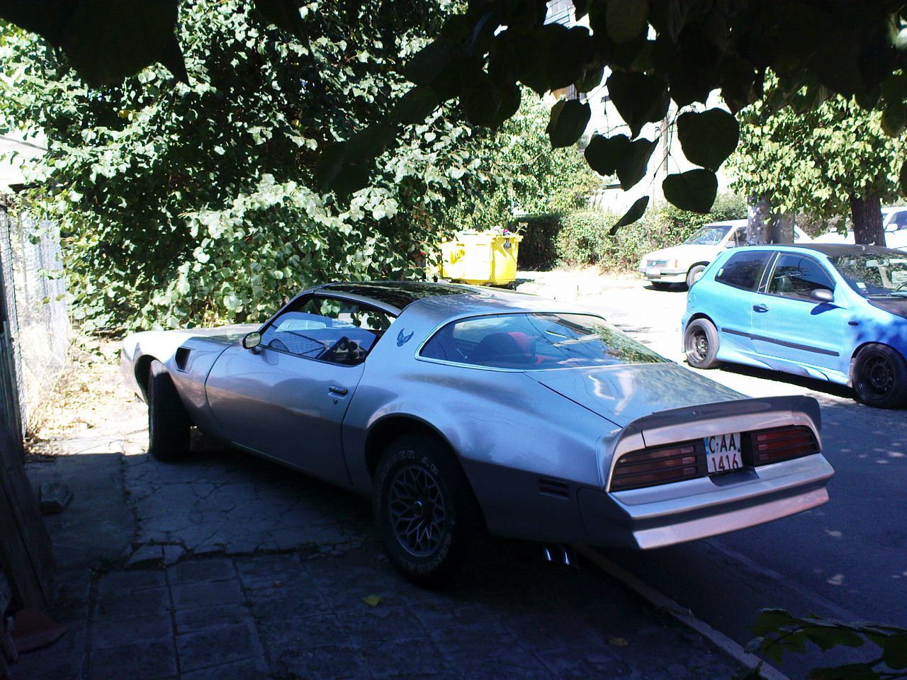 TransAm1976-rear1.jpg