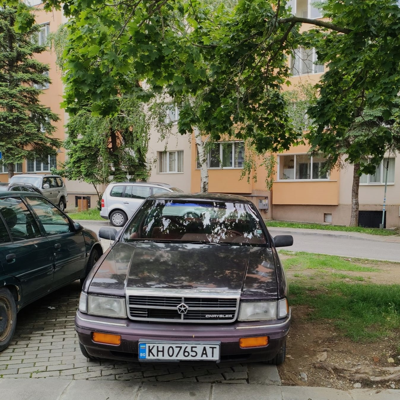 AMER-DUPNITA-SARATOGAbd695d49cf47479a.jpeg