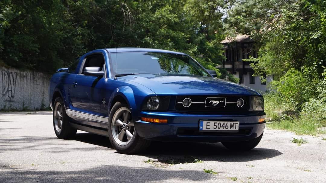 AMER-SIN-STANG-NEORETRO052492426da2b95b.jpeg