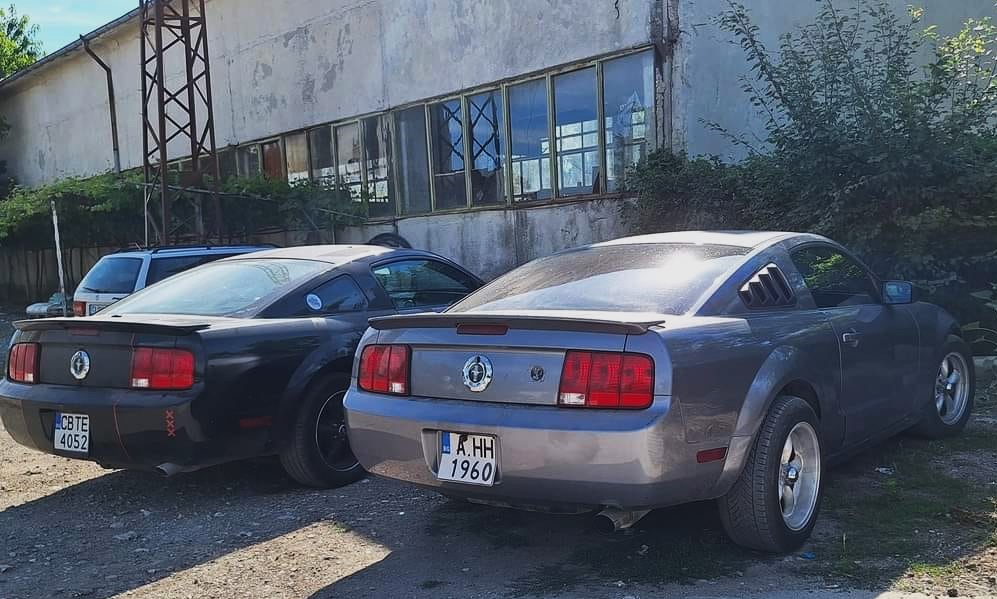 AMER-YNG-STANG6e54987fdd4a92c6.jpeg
