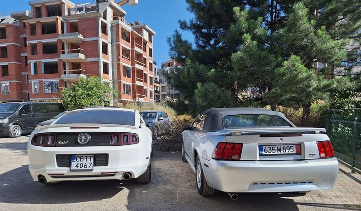 AMER-STANG-NY-EDZ-KABRO-SIV69695145c85c1de4.jpeg
