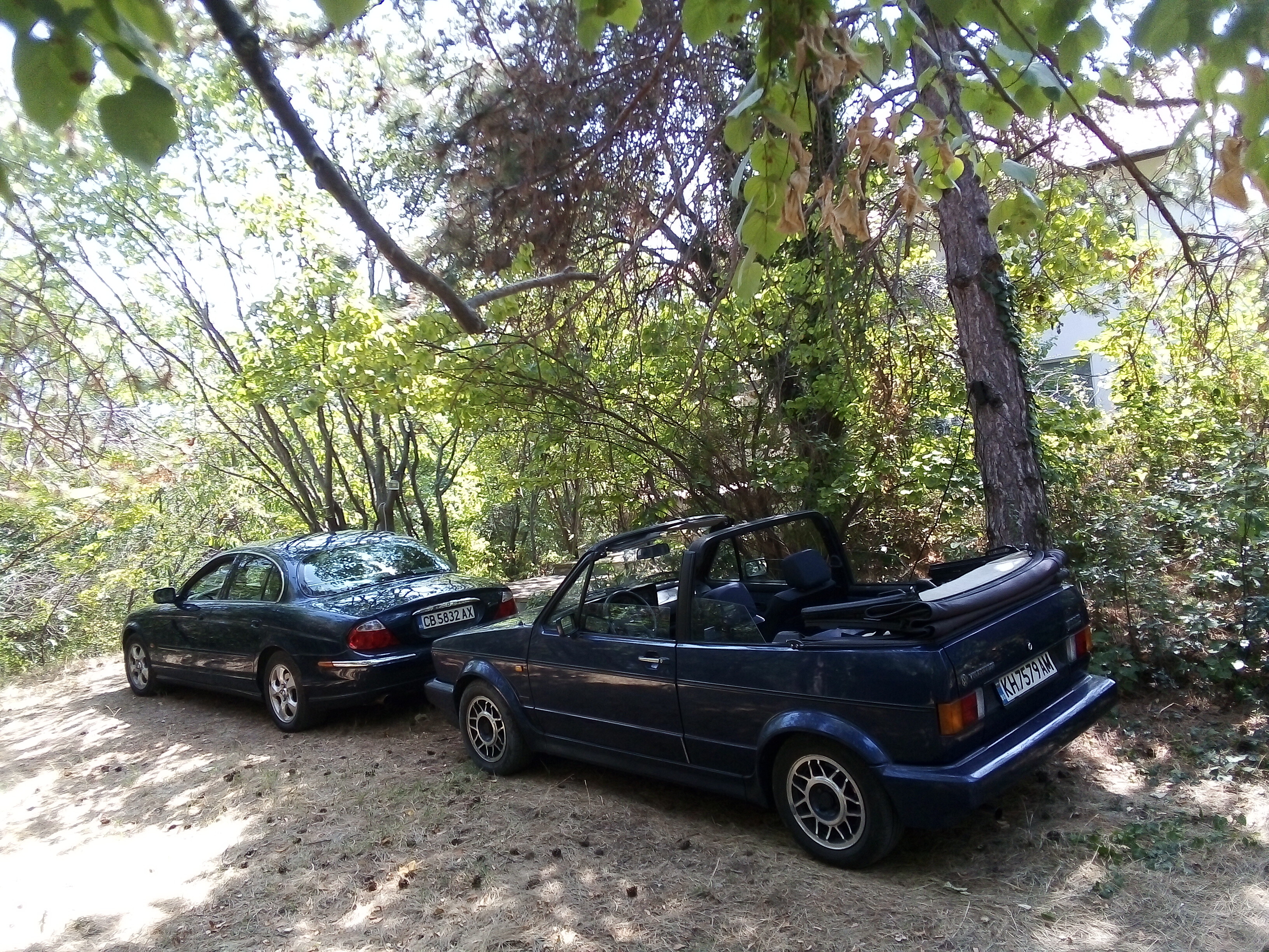 IMG_20240821_140636ef205e0ff42af57c.jpeg